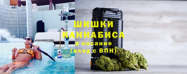 гашик Арсеньев