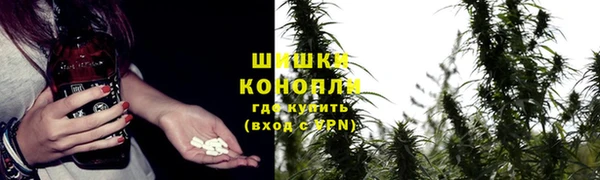 сатива Алексеевка