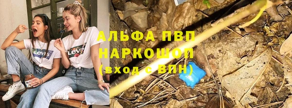 Альфа ПВП Гусиноозёрск