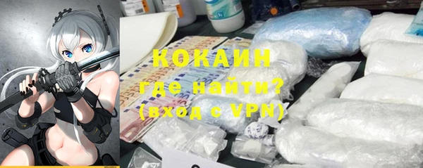 гашик Арсеньев