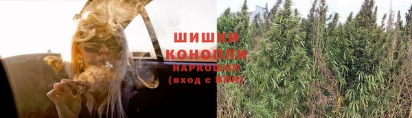 apvp Балахна